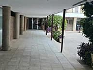 El pasillo cubierto que hay tras la verja, entre columnas y jardineras.